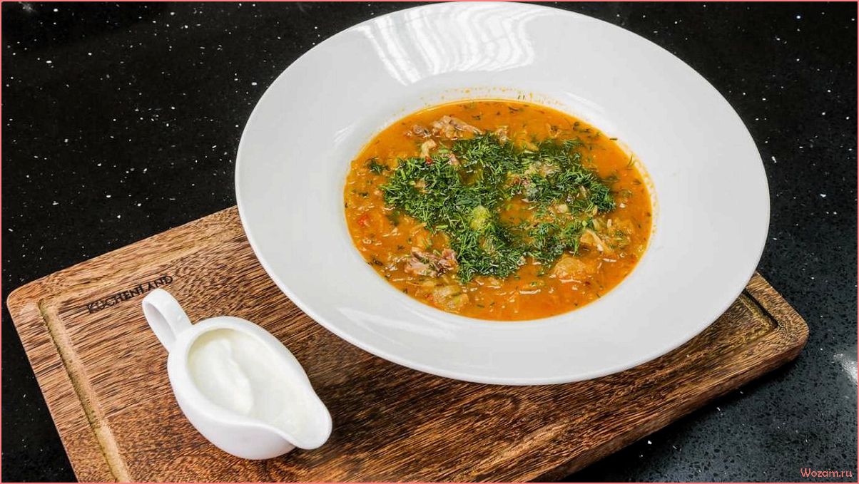 Вкусные и полезные вегетарианские щи из квашеной капусты — рецепты и секреты приготовления